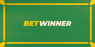 All You Need to Know About Betwinner